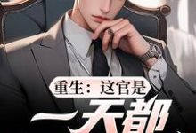 重生：这官是一天都不想当了梁惟石唐欣怡最新完结小说，重生：这官是一天都不想当了全本免费在线阅读-冰糖文学