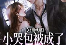 将错就错：小哭包被成了大佬心尖宠推荐完结小说，将错就错：小哭包被成了大佬心尖宠慕汀洲姜桃免费小说全本-冰糖文学