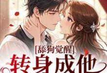 舔狗觉醒,转身成他高攀不起舒念沈晏宸免费小说舔狗觉醒,转身成他高攀不起推荐完结小说-冰糖文学