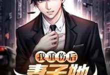 (全文)我重伤后，妻子她彻底后悔了(陈泽沈清秋)全本免费在线阅读-冰糖文学