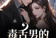 (全文)毒舌男的温柔攻势(盛京御宋听晚)全本免费在线阅读-冰糖文学