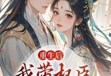 重生后,我带权臣杀入前夫府内沈月昭陆明渊热门小说排行榜重生后,我带权臣杀入前夫府内免费小说-冰糖文学