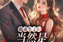 都重生了！当然是撩他要紧（冉瑾念陆烬渊）全本书籍阅读都重生了！当然是撩他要紧完整版小说-冰糖文学