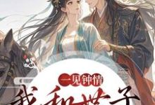 一见钟情,我和世子天生一对沈如风苏云锦热门小说排行榜一见钟情,我和世子天生一对免费小说-冰糖文学