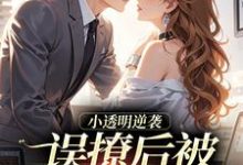 许惟昭方肃礼误撩后被大佬宠上天全本免费在线阅读-冰糖文学