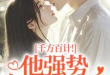 千方百计！他强势夺我闪婚完整版小说，千方百计！他强势夺我闪婚南昭沙赫全章小说阅读-冰糖文学