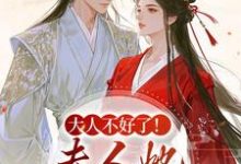 (全文)大人不好了!夫人她名动京城了姜宁芷沈鹤书全本免费在线阅读-冰糖文学