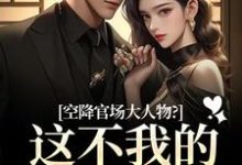 顾杳周政良空降官场大人物?这不我的裙下臣吗全本免费在线阅读-冰糖文学