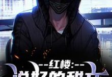 (全文)红楼:说好的甜文咋变恐怖文了齐洛最新完结小说红楼:说好的甜文咋变恐怖文了免费阅读-冰糖文学