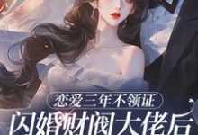 (全文)恋爱三年不领证,闪婚财阀大佬后他急疯热门小说排行榜,恋爱三年不领证,闪婚财阀大佬后他急疯苏婠周衍焱全章小说阅读-冰糖文学