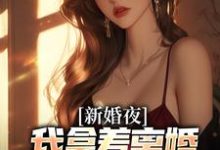 新婚夜，我拿着离婚协议黯然离场叶修远白若雪完结小说推荐，新婚夜，我拿着离婚协议黯然离场全章小说阅读-冰糖文学