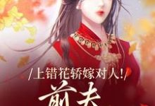(全文)上错花轿嫁对人！前夫追悔莫及免费小说全本，萧念窈陆奉行试读更新章节-冰糖文学