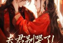 夫君别哭了！我来替你虐渣沈婉宁韩云泽完结小说推荐夫君别哭了！我来替你虐渣全本书籍阅读-冰糖文学
