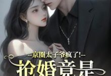 (全文)京圈太子爷疯了！抢婚竟是蓄谋已久热门小说排行榜，京圈太子爷疯了！抢婚竟是蓄谋已久陆妄辞虞晚颜全章小说阅读-冰糖文学