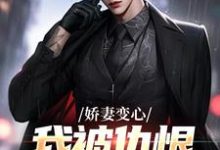 娇妻变心，我被仇恨占据了全身热门小说排行榜娇妻变心，我被仇恨占据了全身路无铭墨凉馨免费小说全本-冰糖文学