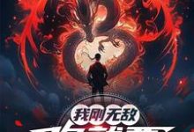 我刚无敌，你就要跟我退婚？热门小说排行榜我刚无敌，你就要跟我退婚？苏阳免费小说全本-冰糖文学