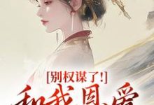 别权谋了！和我恩爱才是王道（盛西棠）全章小说阅读-冰糖文学