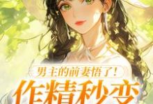 男主的前妻悟了！作精秒变粘人精（许岁宁霍青山）全本书籍阅读男主的前妻悟了！作精秒变粘人精完整版小说-冰糖文学