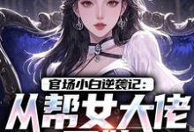 官场小白逆袭记：从帮女大佬开始唐诚李文静热门小说排行榜官场小白逆袭记：从帮女大佬开始免费小说-冰糖文学
