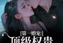 (全文)第一婚宠:顶级权贵追妻火葬场(叶惊兰薄戎淮)全本免费在线阅读-冰糖文学