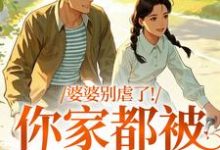 (全文)婆婆别虐了！你家都被偷光了(苏圆圆陆正安)全本免费在线阅读-冰糖文学
