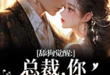 舔狗觉醒：总裁，你只是个替身许瑾禾裴景之免费小说舔狗觉醒：总裁，你只是个替身推荐完结小说-冰糖文学