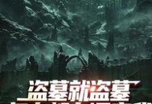 盗墓就盗墓,怎么都在调查我完整版小说,盗墓就盗墓,怎么都在调查我吴邪白小白试读更新章节-冰糖文学