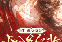 将门孤女做妾？小公爷红妆谋娶她苏清洛谢南辞热门小说排行榜将门孤女做妾？小公爷红妆谋娶她免费小说-冰糖文学