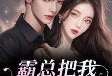 (全文)霸总把我当替身后，他真的后悔了免费小说全本，白筱帆盛延试读更新章节-冰糖文学