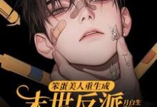 (全文)笨蛋美人重生成末世反派的男友后(沈绵叶瑾修)全本免费在线阅读-冰糖文学