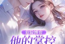 危险博弈：他的掌控与她的反杀完整版小说，危险博弈：他的掌控与她的反杀叶时欢试读更新章节-冰糖文学