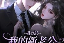 拒爱！我的新老公可有大身份推荐完结小说，拒爱！我的新老公可有大身份沈清禾秦溯免费小说全本-冰糖文学
