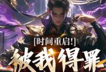 时间重启！被我得罪的全活了完整版小说，时间重启！被我得罪的全活了林天穆青云全章小说阅读-冰糖文学