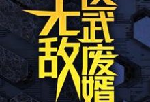 (全文)无敌医武废婿秦铭全本免费在线阅读-冰糖文学
