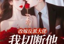 (全文)改嫁反派大佬，我切断他黑化根源！(江知微萧著)全本免费在线阅读-冰糖文学
