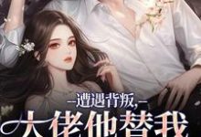 遭遇背叛，大佬他替我虐虐虐（苏婠傅枭）全本书籍阅读遭遇背叛，大佬他替我虐虐虐完整版小说-冰糖文学