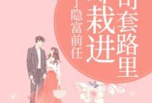 甩了隐富前任，却栽进上司套路里（林昭陆景淮）小说推荐甩了隐富前任，却栽进上司套路里全章小说阅读-冰糖文学