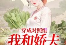 (全文)穿成对照组，我和娇夫杀疯了热门小说排行榜，穿成对照组，我和娇夫杀疯了秦晏姜清妤全章小说阅读-冰糖文学