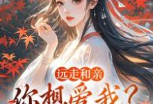 远走和亲，你想爱我？晚了最新章节阅读远走和亲，你想爱我？晚了(姜兰阮宜年)试读更新章节-冰糖文学