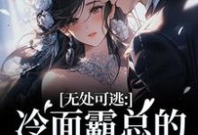 无处可逃：冷面霸总的专宠小娇妻完整版小说，无处可逃：冷面霸总的专宠小娇妻傅周烬苏挽挽全章小说阅读-冰糖文学