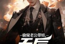 偷窥老公带娃，天后坐不住了（陆辰）全章小说阅读-冰糖文学