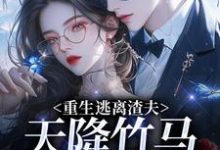 重生逃离渣夫，天降竹马太会钓（姜矜贺祈年）全章小说阅读-冰糖文学