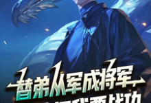 替弟从军成将军，归来问我要战功最新章节阅读替弟从军成将军，归来问我要战功(叶临渊)试读更新章节-冰糖文学