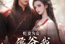 贬妻为妾，侯爷我不伺候啦（慎如余启）全本书籍阅读贬妻为妾，侯爷我不伺候啦完整版小说-冰糖文学