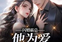 闪婚霸总，他为爱抛弃一切（苏绿柔厉墨焱）全本书籍阅读闪婚霸总，他为爱抛弃一切完整版小说-冰糖文学