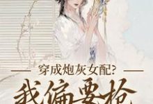 (全文)穿成炮灰女配?我偏要抢女主资源顾柠芸慕辰泽全本免费在线阅读-冰糖文学