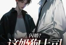 (全文)闪婚？这奶狗上司真难缠（赵芜鱼邓北辰）全本书籍阅读闪婚？这奶狗上司真难缠免费小说全本-冰糖文学