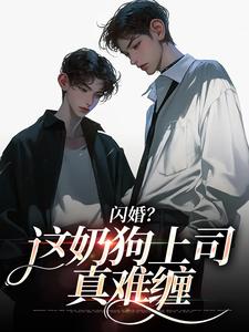 (全文)闪婚？这奶狗上司真难缠（赵芜鱼邓北辰）全本书籍阅读闪婚？这奶狗上司真难缠免费小说全本