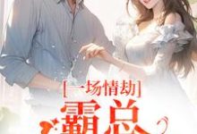 一场情劫，霸总追妻不休热门小说排行榜一场情劫，霸总追妻不休梁怀茵卓靖诗免费小说全本-冰糖文学