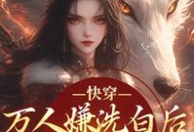 快穿：万人嫌洗白后成香饽饽了林观贞裴钧热门小说排行榜快穿：万人嫌洗白后成香饽饽了免费小说-冰糖文学
